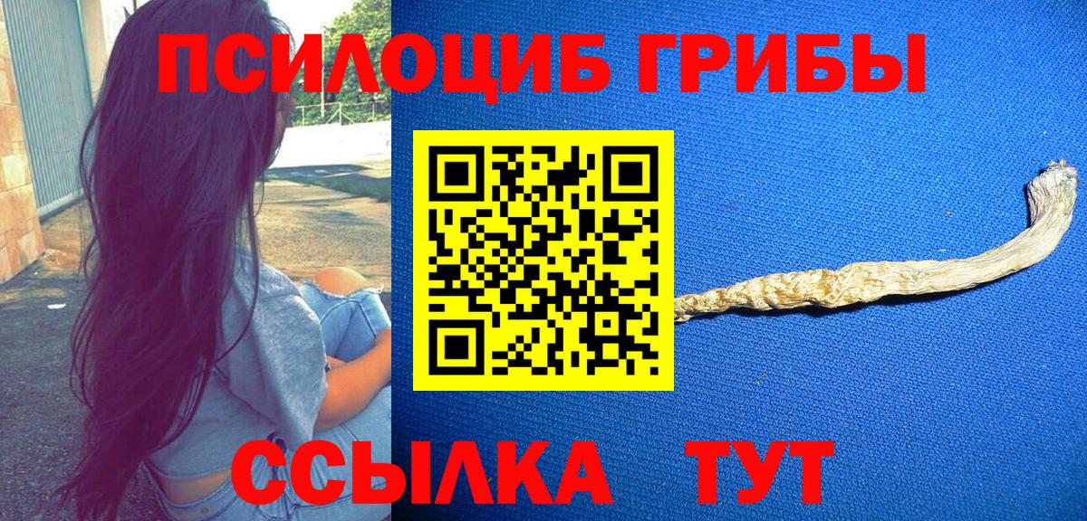 Клинцы  Псилоцибиновые грибы Psilocybine cubensis  Вход с VPN 